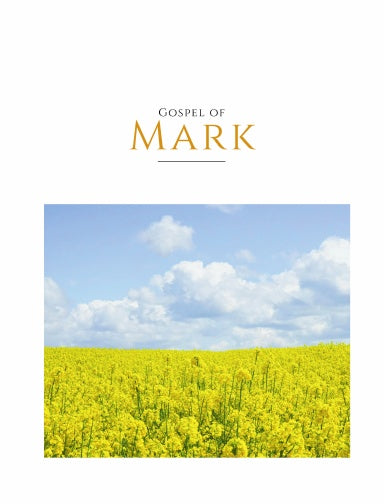 Book Cover Variant Thumbnail