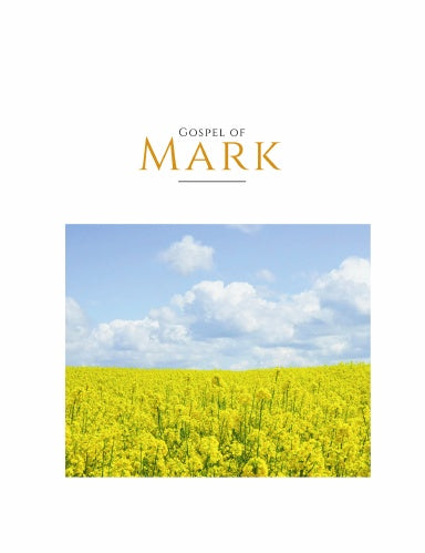 Book Cover Variant Thumbnail