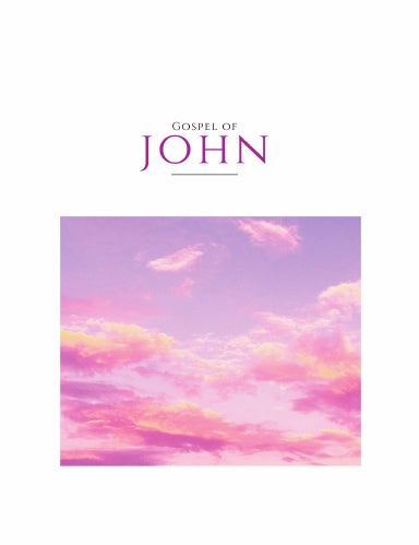 Book Cover Variant Thumbnail